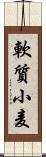 軟質小麦 Scroll