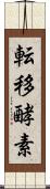 転移酵素 Scroll