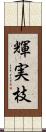 輝実枝 Scroll