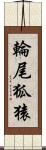 輪尾狐猿 Scroll