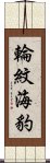 輪紋海豹 Scroll