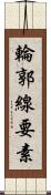 輪郭線要素 Scroll