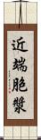 近端胞漿 Scroll