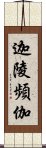 迦陵頻伽 Scroll