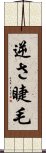 逆さ睫毛 Scroll