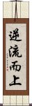 逆流而上 Scroll