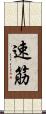 速筋 Scroll
