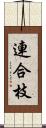 連合枝 Scroll