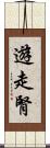 遊走腎 Scroll