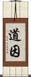 道因 Scroll