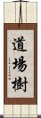 道場樹 Scroll