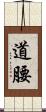 道腰 Scroll