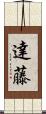 達藤 Scroll