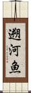 遡河魚 Scroll