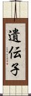 遺伝子 Scroll