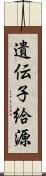 遺伝子給源 Scroll