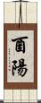酉陽 Scroll