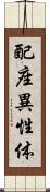 配座異性体 Scroll
