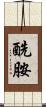 酰胺 Scroll