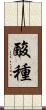 酸種 Scroll