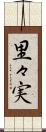 里々実 Scroll