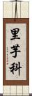 里芋科 Scroll