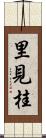 里見桂 Scroll