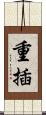 重插 Scroll