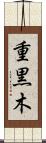 重黒木 Scroll