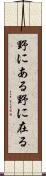 野にある Scroll