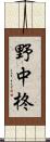 野中柊 Scroll