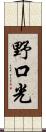 野口光 Scroll