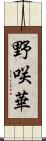 野咲華 Scroll