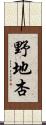 野地杏 Scroll