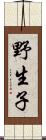 野生子 Scroll