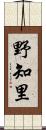 野知里 Scroll