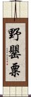 野罌粟 Scroll