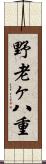 野老ヶ八重 Scroll