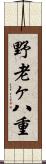 野老ヶ八重 Scroll