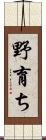 野育ち Scroll