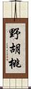 野胡桃 Scroll