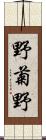 野菊野 Scroll