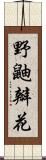 野鼬瓣花 Scroll