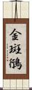 金斑鴴 Scroll