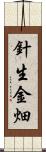 針生金畑 Scroll