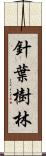 針葉樹林 Scroll