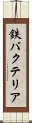 鉄バクテリア Scroll