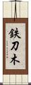 鉄刀木 Scroll