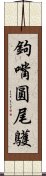 鉤嘴圓尾鸌 Scroll