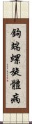 鉤端螺旋體病 Scroll